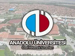 özel yetenek sınavlarında çıkmış imgesel soruları, Özel Yetenek Sınavı Soruları