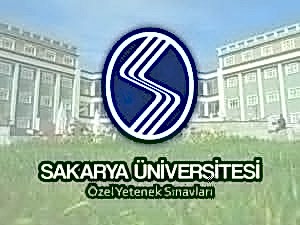 özel yetenek sınavlarında çıkmış imgesel soruları, Özel Yetenek Sınavı Soruları